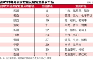 西部农村电商调查：并非一台电脑就能完成转型