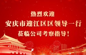 安徽省安庆市迎江区委常委、宣传部长徐佳一行莅临安徽冲鸭科技有限公司考察指导