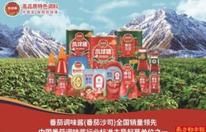 番茄酱头部品牌凤球唛的“出圈”之路